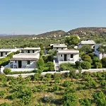 Niriides